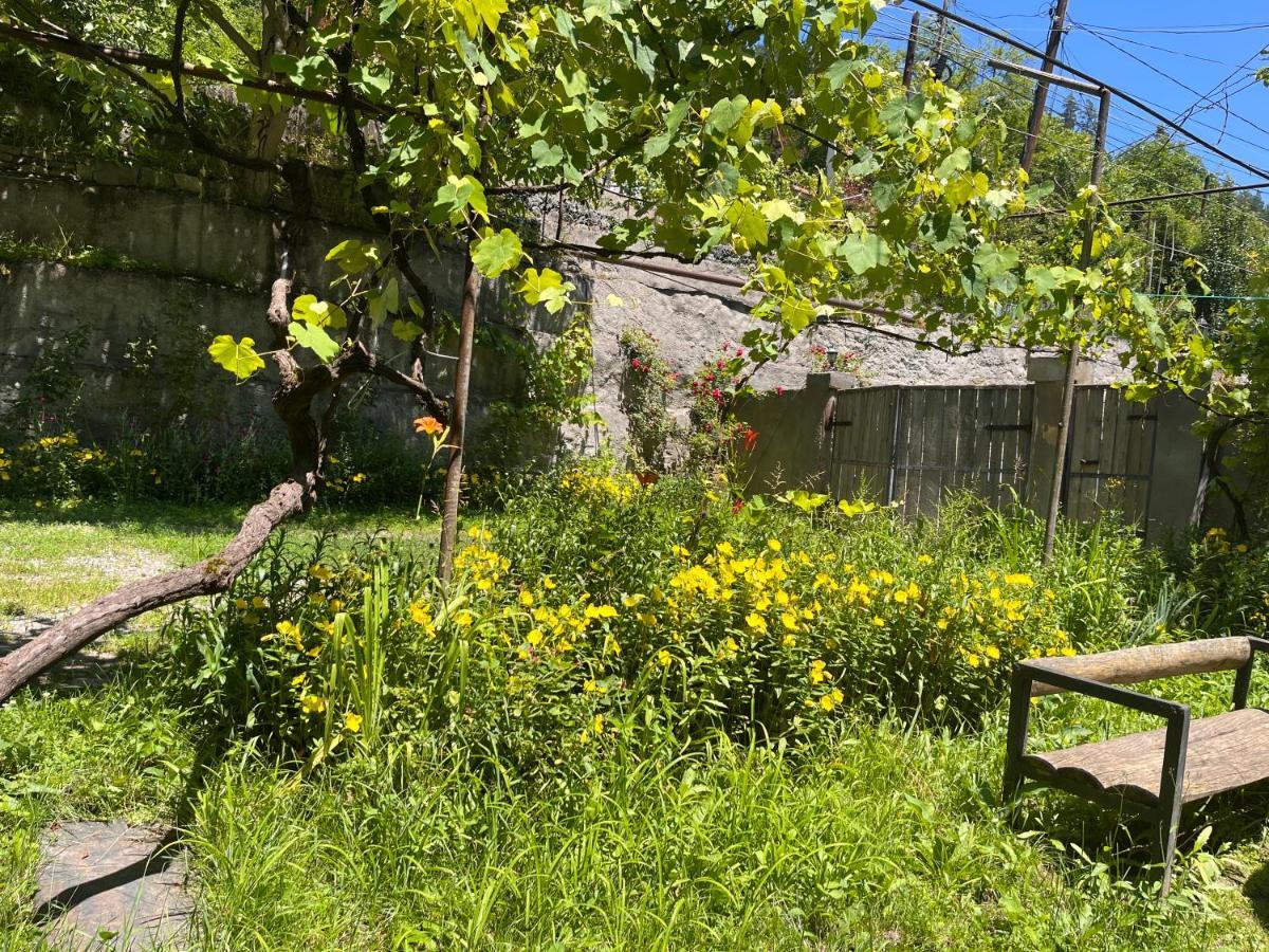 Borjomi Makvala'S Guest House ภายนอก รูปภาพ