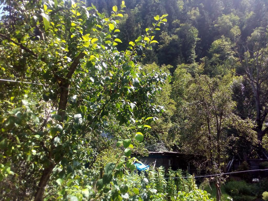 Borjomi Makvala'S Guest House ภายนอก รูปภาพ