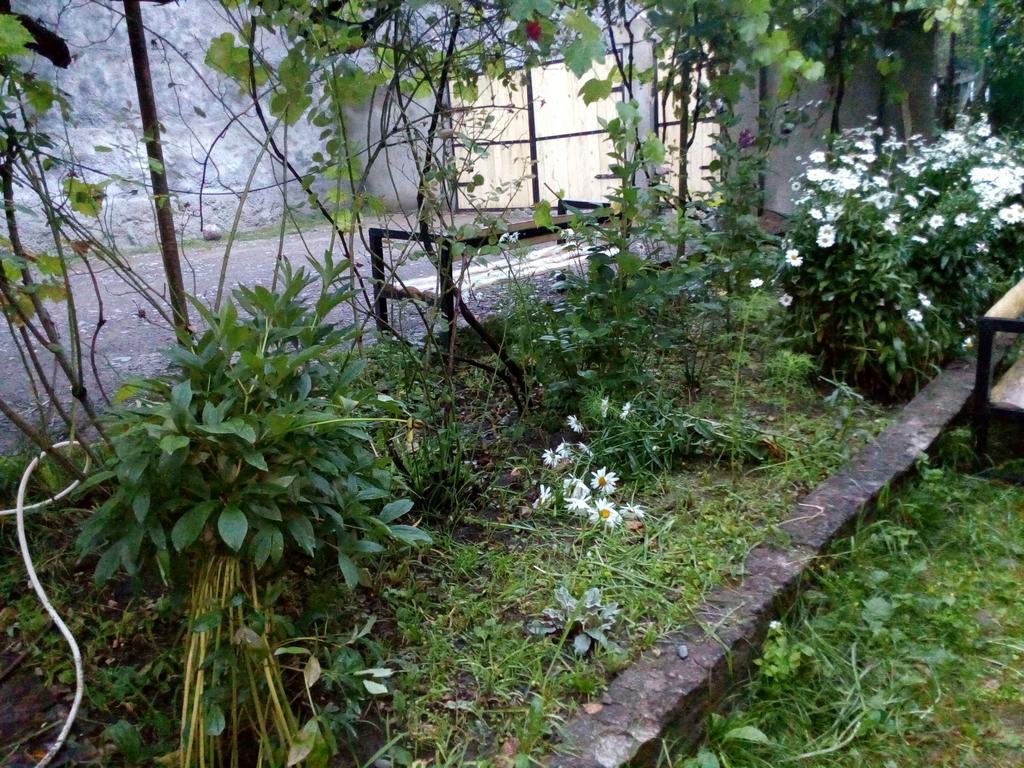 Borjomi Makvala'S Guest House ภายนอก รูปภาพ