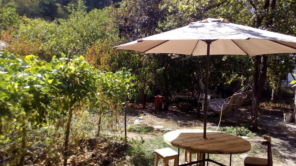Borjomi Makvala'S Guest House ภายนอก รูปภาพ