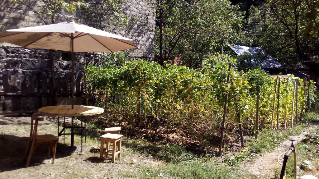 Borjomi Makvala'S Guest House ภายนอก รูปภาพ