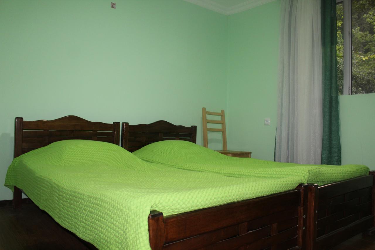 Borjomi Makvala'S Guest House ภายนอก รูปภาพ