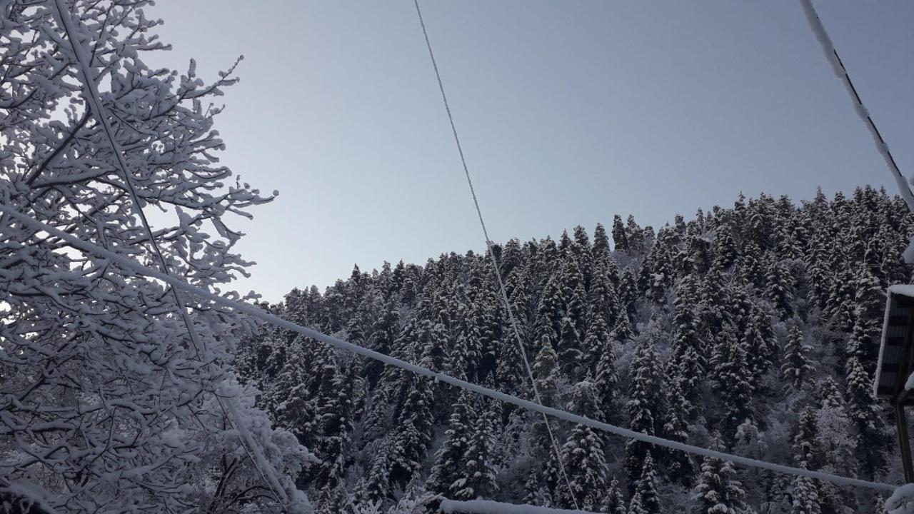 Borjomi Makvala'S Guest House ภายนอก รูปภาพ