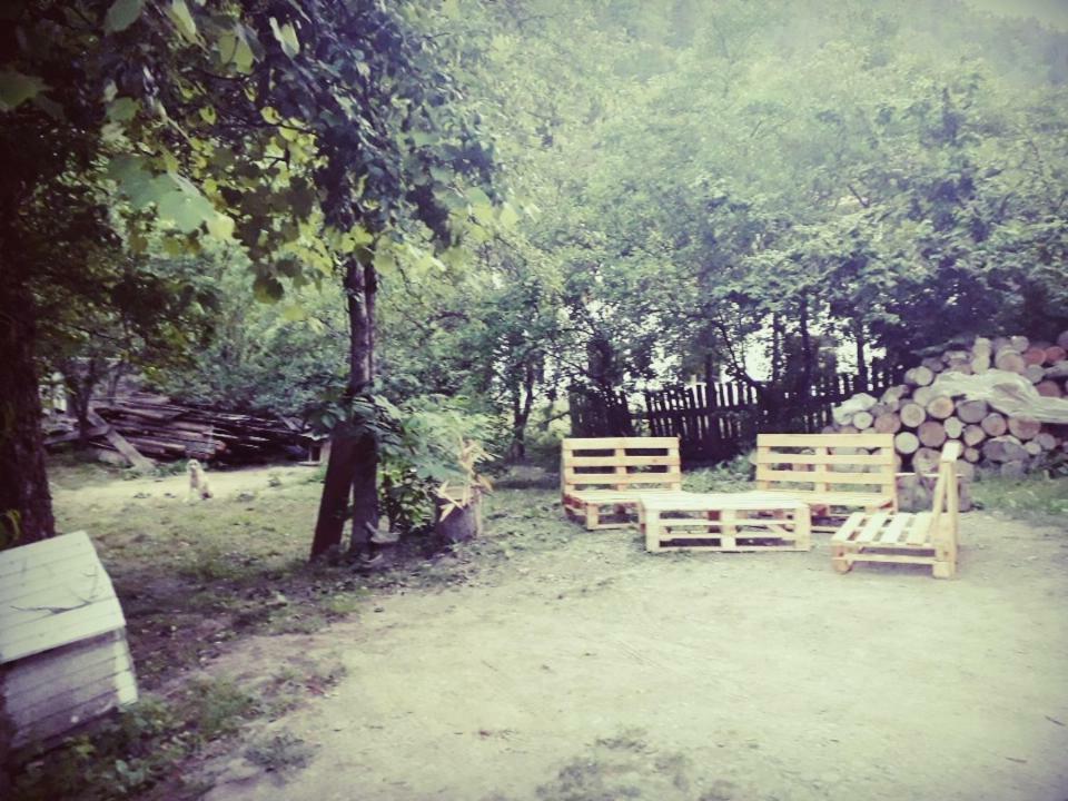 Borjomi Makvala'S Guest House ภายนอก รูปภาพ